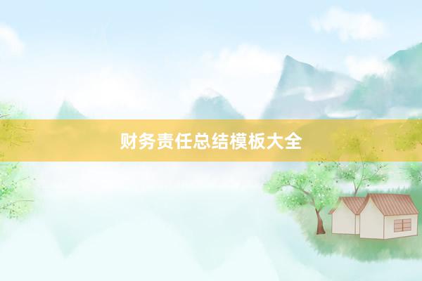 财务责任总结模板大全